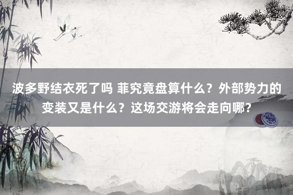 波多野结衣死了吗 菲究竟盘算什么？外部势力的变装又是什么？这场交游将会走向哪？