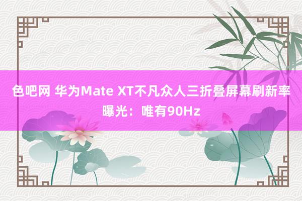 色吧网 华为Mate XT不凡众人三折叠屏幕刷新率曝光：唯有90Hz