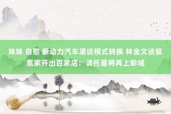 妹妹 自慰 新动力汽车渠谈模式转换 林金文谈极氪家开出百家店：请托量将再上畛域