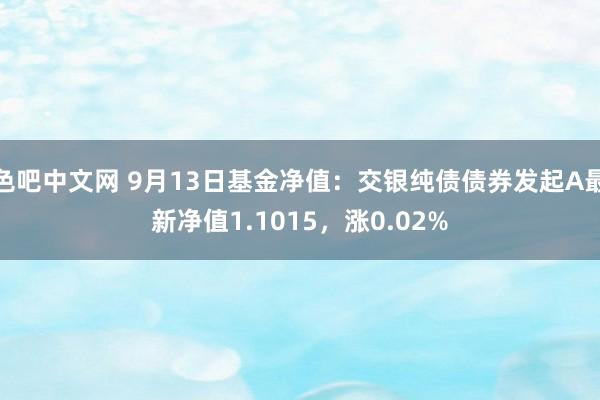 色吧中文网 9月13日基金净值：交银纯债债券发起A最新净值1.1015，涨0.02%