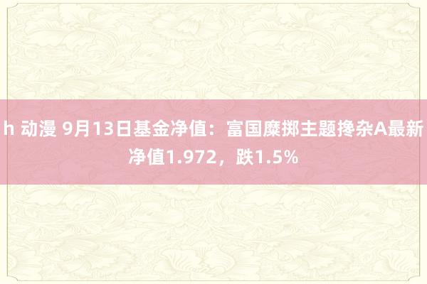 h 动漫 9月13日基金净值：富国糜掷主题搀杂A最新净值1.972，跌1.5%