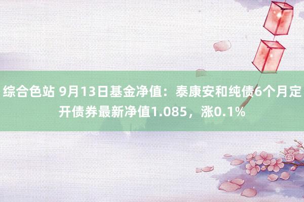 综合色站 9月13日基金净值：泰康安和纯债6个月定开债券最新净值1.085，涨0.1%