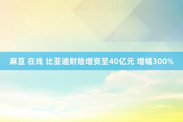 麻豆 在线 比亚迪财险增资至40亿元 增幅300%