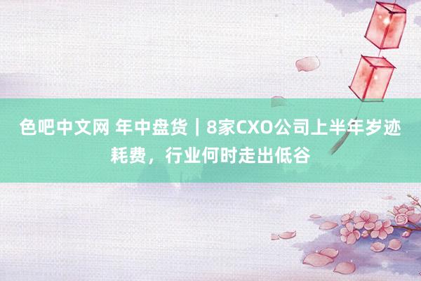 色吧中文网 年中盘货｜8家CXO公司上半年岁迹耗费，行业何时走出低谷