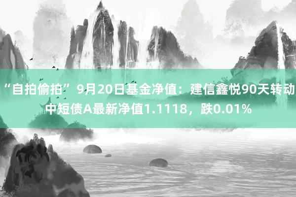 “自拍偷拍” 9月20日基金净值：建信鑫悦90天转动中短债A最新净值1.1118，跌0.01%