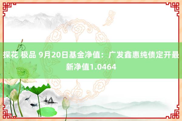 探花 极品 9月20日基金净值：广发鑫惠纯债定开最新净值1.0464