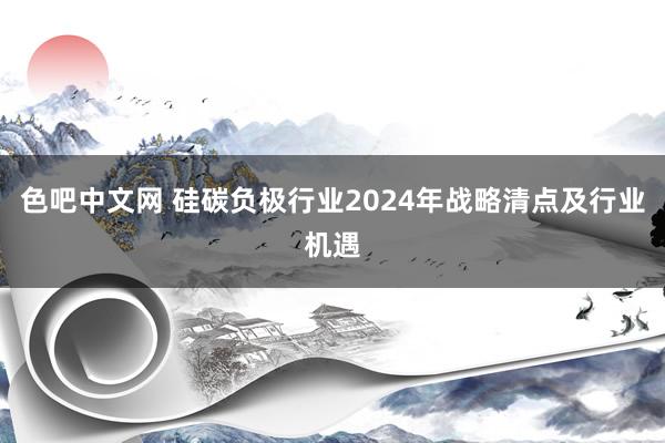 色吧中文网 硅碳负极行业2024年战略清点及行业机遇