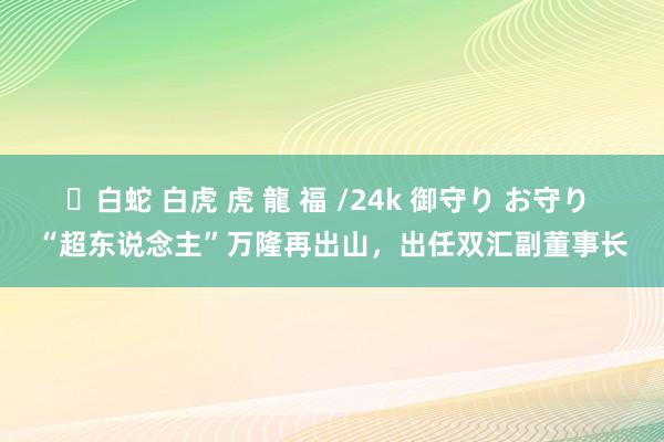 ✨白蛇 白虎 虎 龍 福 /24k 御守り お守り “超东说念主”万隆再出山，出任双汇副董事长