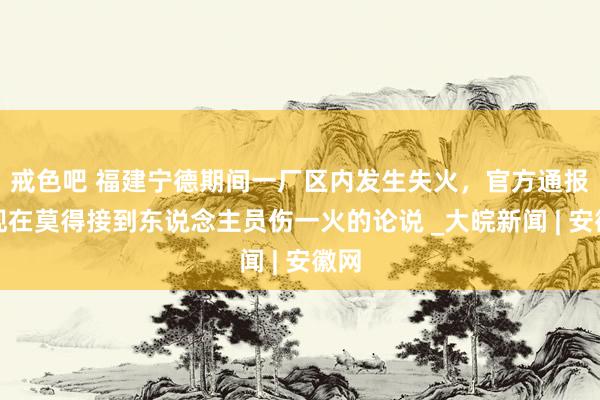 戒色吧 福建宁德期间一厂区内发生失火，官方通报：现在莫得接到东说念主员伤一火的论说 _大皖新闻 | 安徽网