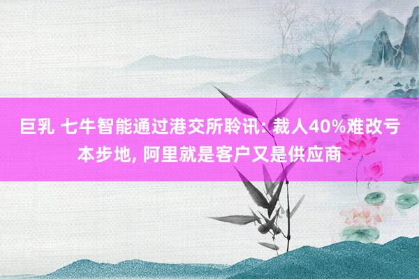 巨乳 七牛智能通过港交所聆讯: 裁人40%难改亏本步地， 阿里就是客户又是供应商