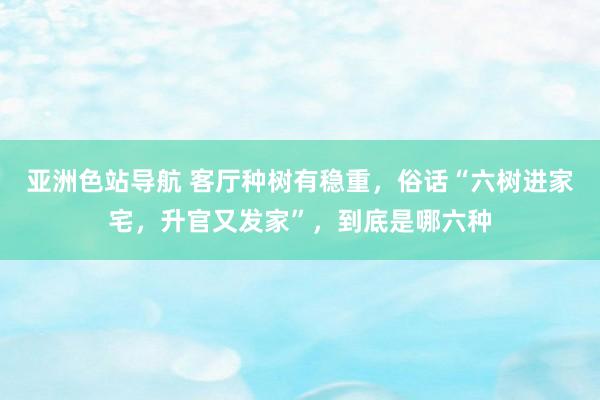 亚洲色站导航 客厅种树有稳重，俗话“六树进家宅，升官又发家”，到底是哪六种