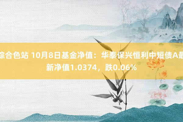 综合色站 10月8日基金净值：华泰保兴恒利中短债A最新净值1.0374，跌0.06%