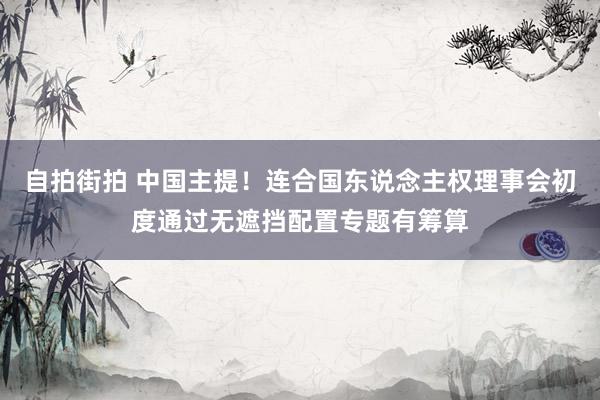 自拍街拍 中国主提！连合国东说念主权理事会初度通过无遮挡配置专题有筹算