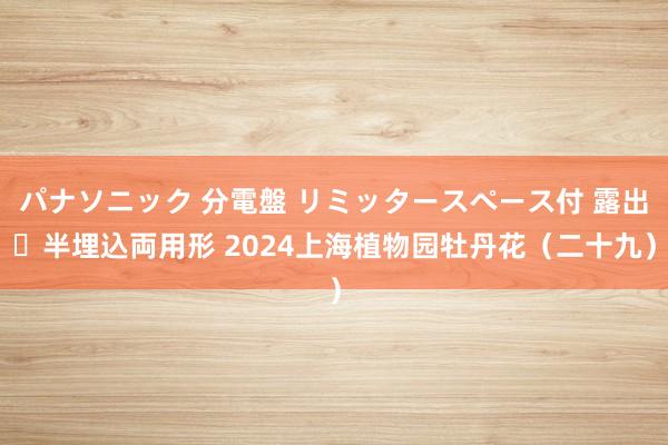 パナソニック 分電盤 リミッタースペース付 露出・半埋込両用形 2024上海植物园牡丹花（二十九）