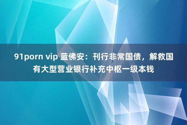 91porn vip 蓝佛安：刊行非常国债，解救国有大型营业银行补充中枢一级本钱