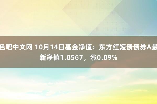 色吧中文网 10月14日基金净值：东方红短债债券A最新净值1.0567，涨0.09%