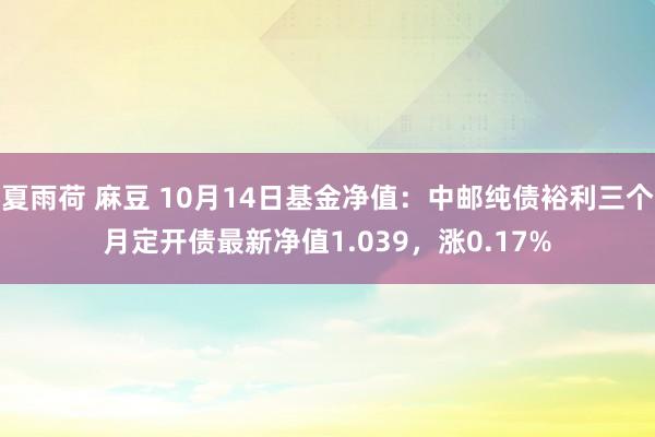 夏雨荷 麻豆 10月14日基金净值：中邮纯债裕利三个月定开债最新净值1.039，涨0.17%