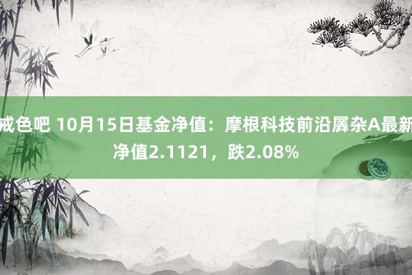 戒色吧 10月15日基金净值：摩根科技前沿羼杂A最新净值2.1121，跌2.08%