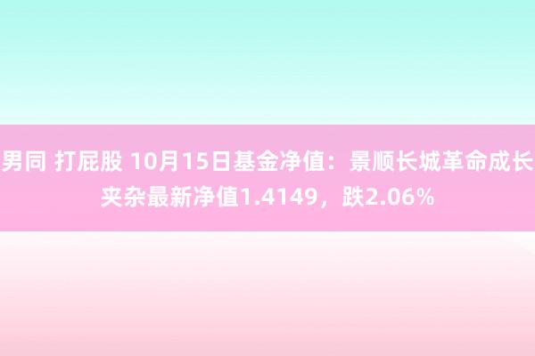 男同 打屁股 10月15日基金净值：景顺长城革命成长夹杂最新净值1.4149，跌2.06%