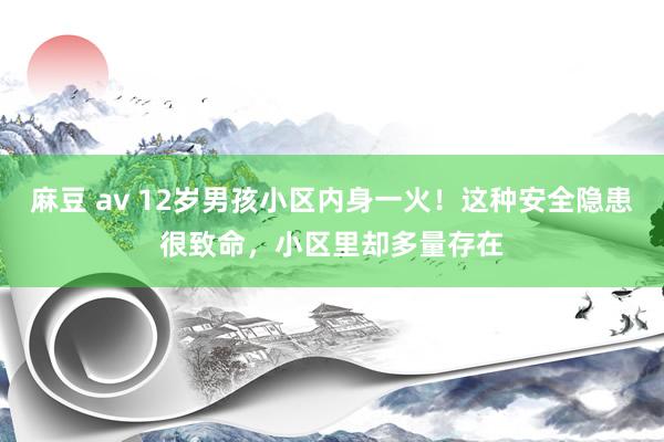 麻豆 av 12岁男孩小区内身一火！这种安全隐患很致命，小区里却多量存在