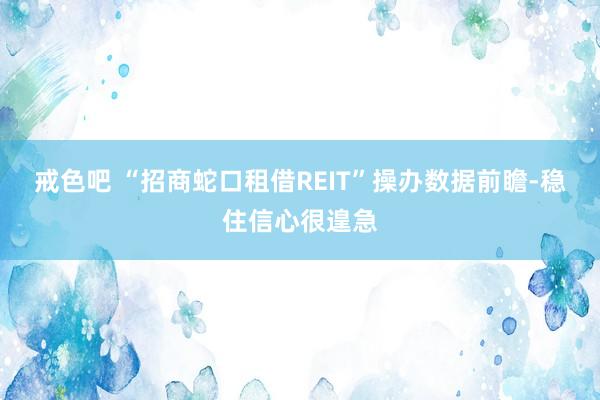 戒色吧 “招商蛇口租借REIT”操办数据前瞻-稳住信心很遑急