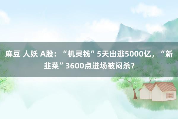 麻豆 人妖 A股：“机灵钱”5天出逃5000亿，“新韭菜”3600点进场被闷杀？