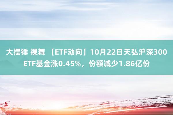 大摆锤 裸舞 【ETF动向】10月22日天弘沪深300ETF基金涨0.45%，份额减少1.86亿份