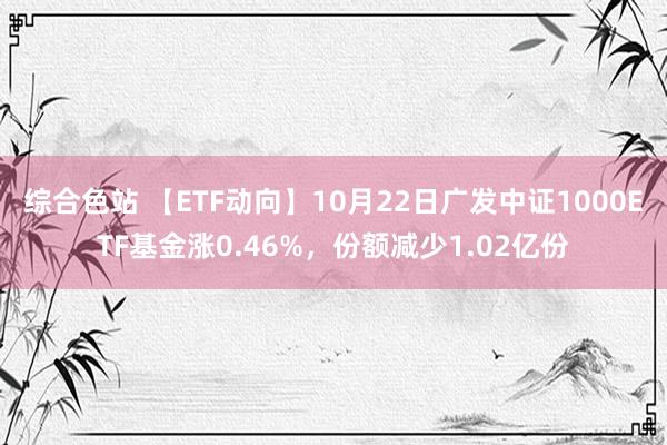 综合色站 【ETF动向】10月22日广发中证1000ETF基金涨0.46%，份额减少1.02亿份