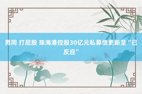 男同 打屁股 珠海港控股30亿元私募债更新至“已反应”