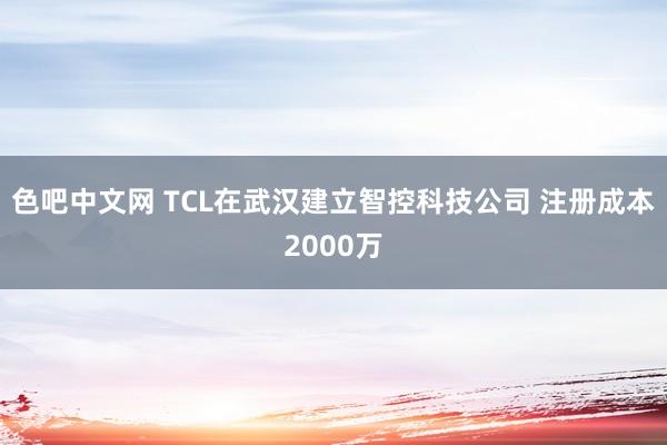 色吧中文网 TCL在武汉建立智控科技公司 注册成本2000万