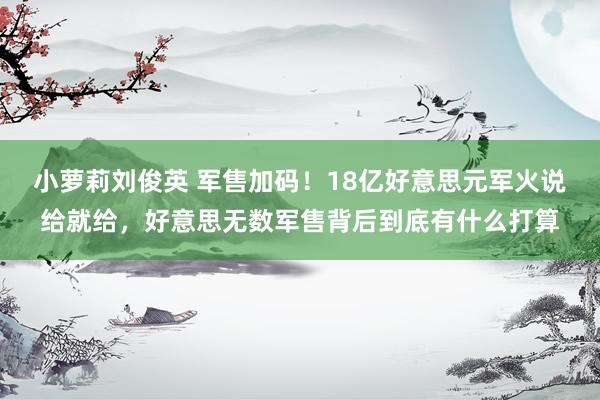 小萝莉刘俊英 军售加码！18亿好意思元军火说给就给，好意思无数军售背后到底有什么打算