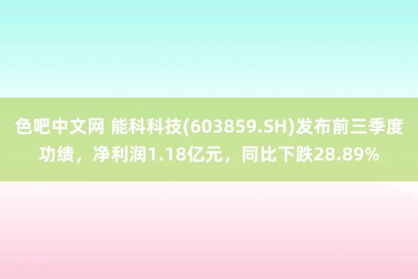 色吧中文网 能科科技(603859.SH)发布前三季度功绩，净利润1.18亿元，同比下跌28.89%