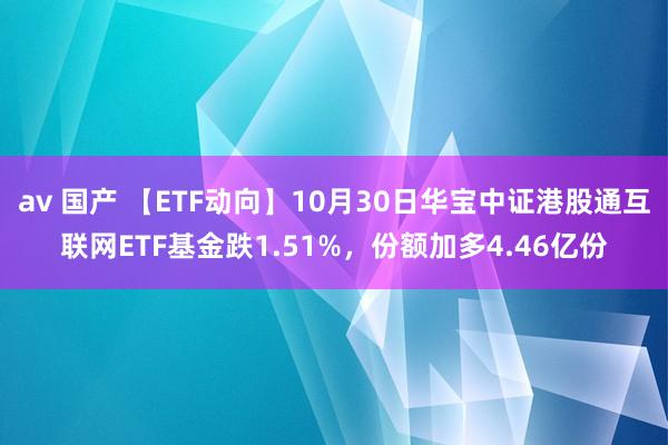 av 国产 【ETF动向】10月30日华宝中证港股通互联网ETF基金跌1.51%，份额加多4.46亿份