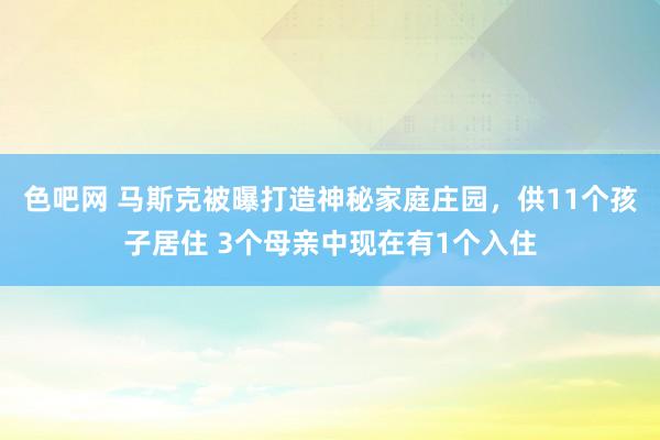 色吧网 马斯克被曝打造神秘家庭庄园，供11个孩子居住 3个母亲中现在有1个入住