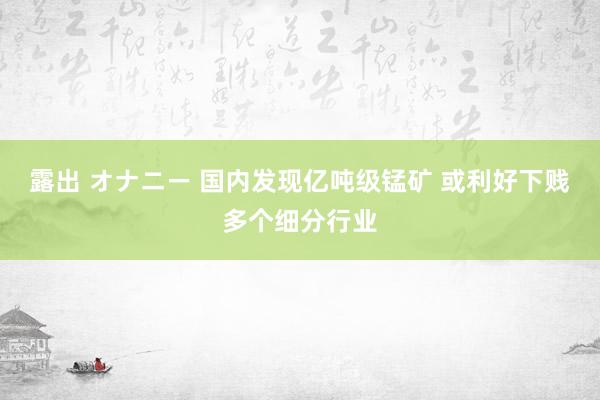 露出 オナニー 国内发现亿吨级锰矿 或利好下贱多个细分行业