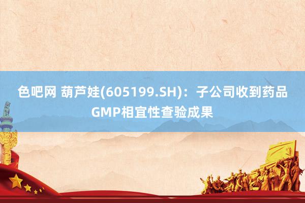 色吧网 葫芦娃(605199.SH)：子公司收到药品GMP相宜性查验成果