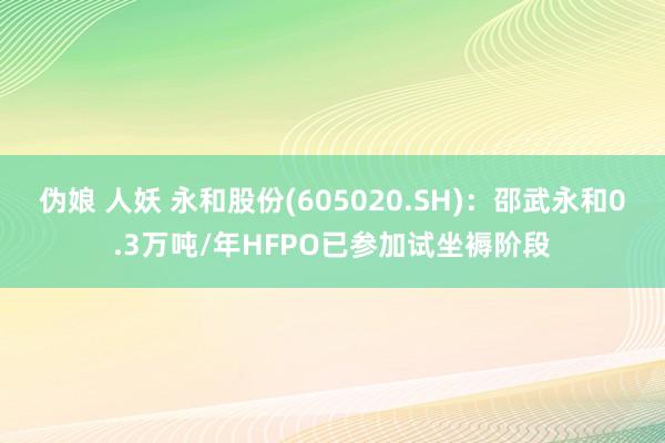 伪娘 人妖 永和股份(605020.SH)：邵武永和0.3万吨/年HFPO已参加试坐褥阶段