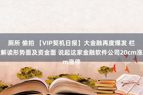 厕所 偷拍 【VIP契机日报】大金融再度爆发 栏目解读形势面及资金面 说起这家金融软件公司20cm涨停