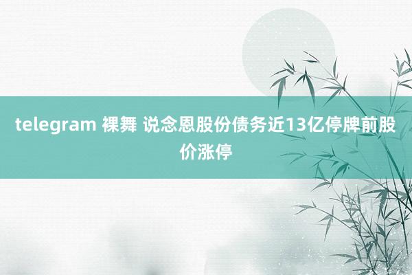 telegram 裸舞 说念恩股份债务近13亿停牌前股价涨停