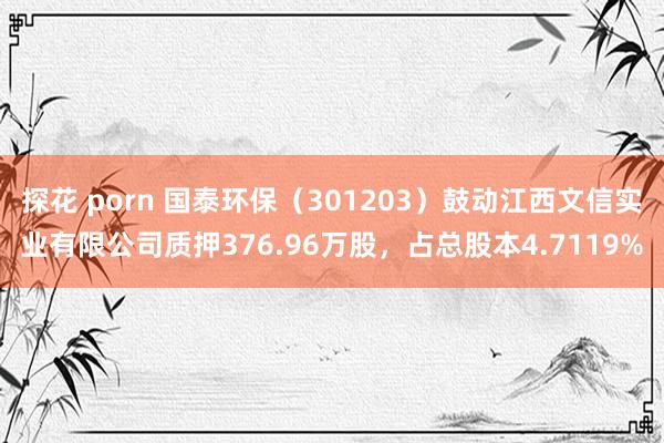 探花 porn 国泰环保（301203）鼓动江西文信实业有限公司质押376.96万股，占总股本4.7119%