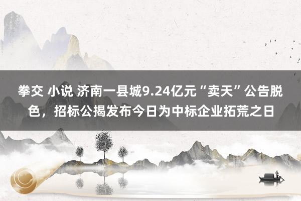 拳交 小说 济南一县城9.24亿元“卖天”公告脱色，招标公揭发布今日为中标企业拓荒之日