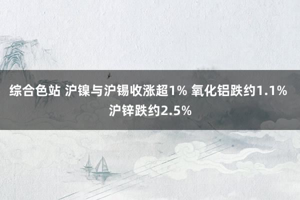 综合色站 沪镍与沪锡收涨超1% 氧化铝跌约1.1% 沪锌跌约2.5%