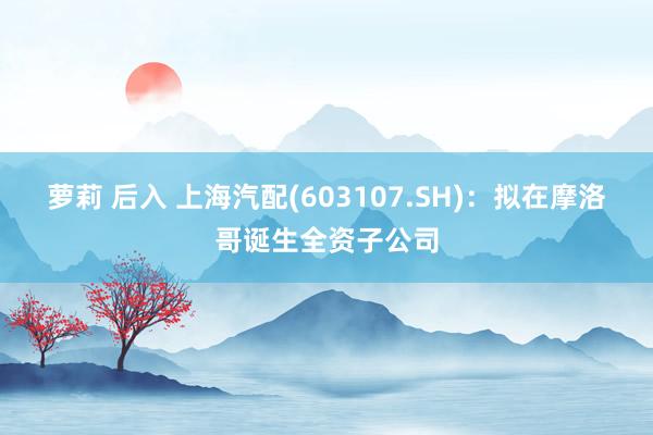 萝莉 后入 上海汽配(603107.SH)：拟在摩洛哥诞生全资子公司