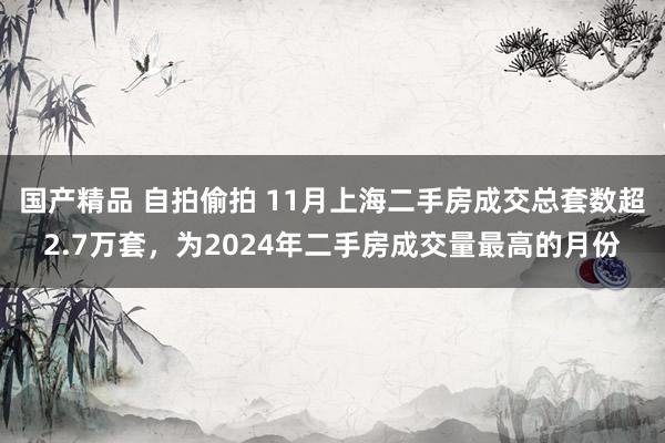 国产精品 自拍偷拍 11月上海二手房成交总套数超2.7万套，为2024年二手房成交量最高的月份