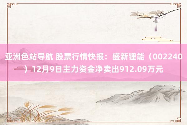 亚洲色站导航 股票行情快报：盛新锂能（002240）12月9日主力资金净卖出912.09万元