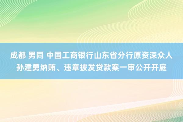 成都 男同 中国工商银行山东省分行原资深众人孙建勇纳贿、违章披发贷款案一审公开开庭