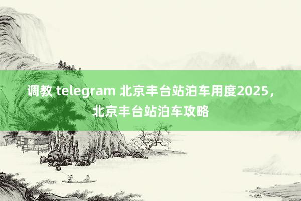 调教 telegram 北京丰台站泊车用度2025，北京丰台站泊车攻略