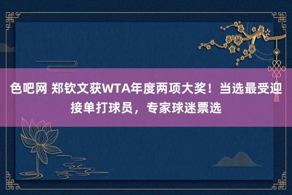 色吧网 郑钦文获WTA年度两项大奖！当选最受迎接单打球员，专家球迷票选