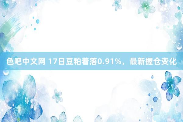 色吧中文网 17日豆粕着落0.91%，最新握仓变化