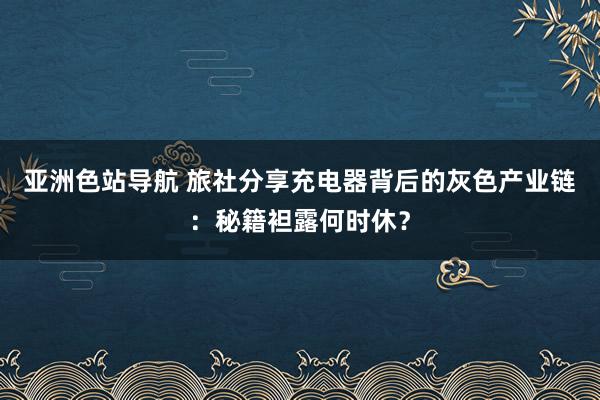 亚洲色站导航 旅社分享充电器背后的灰色产业链：秘籍袒露何时休？